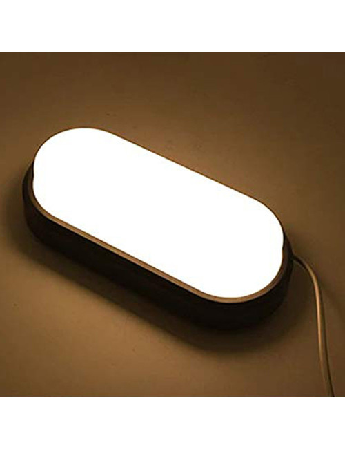 Bulk Head Oval 12W 6500K