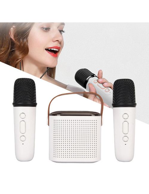 WIRELESS KARAOKE SPEAKER