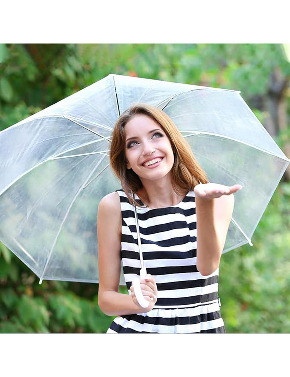 شمسية مطر شفاف