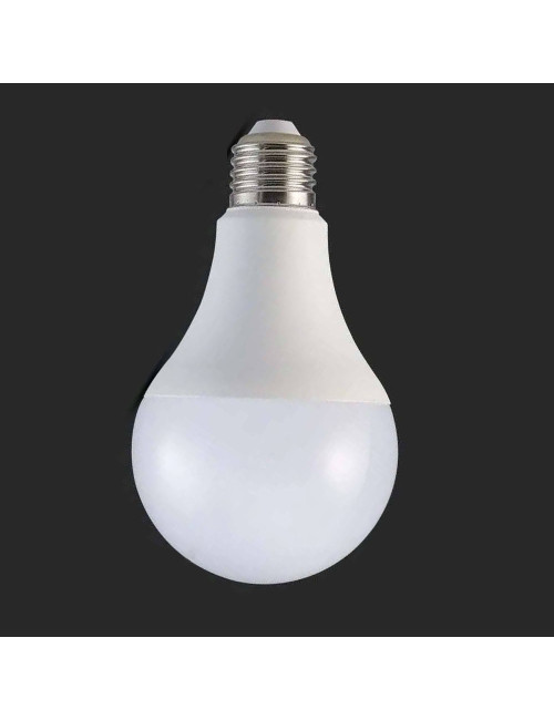 LED BULB A60 12W E27