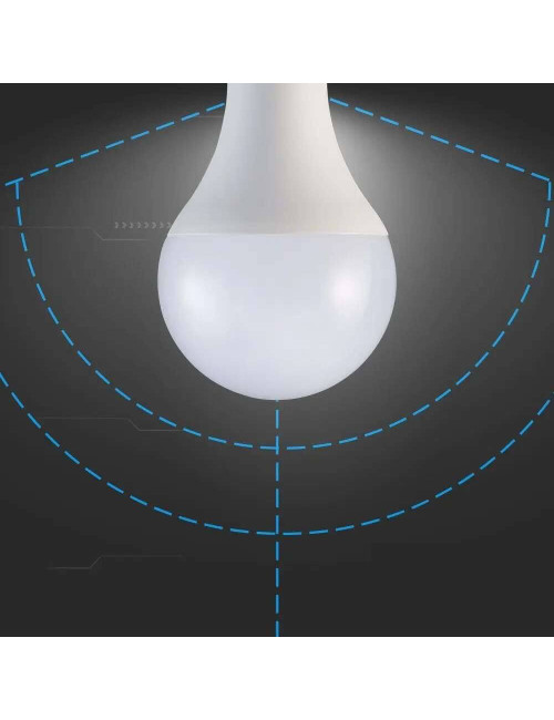 LED BULB A60 12W E27