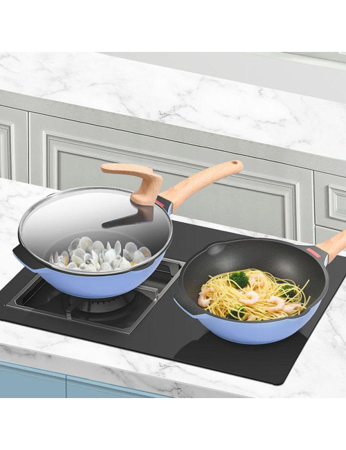 LARGE FRYING PAN WITH BLUE LID