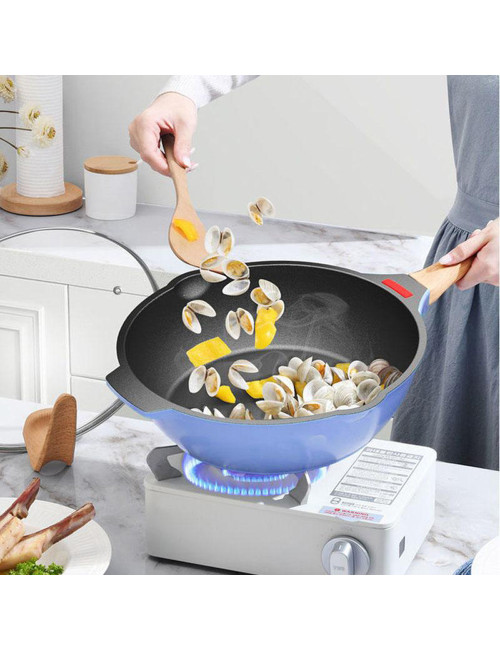 LARGE FRYING PAN WITH BLUE LID