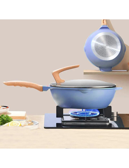 LARGE FRYING PAN WITH BLUE LID