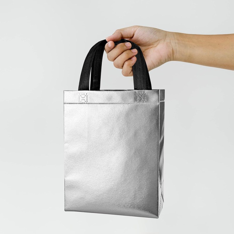 Picnic Bag With Isolation - Medium