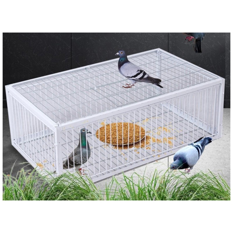 LM-17 100 X 60 X 26CM قفص مصيدة حمام 2باب