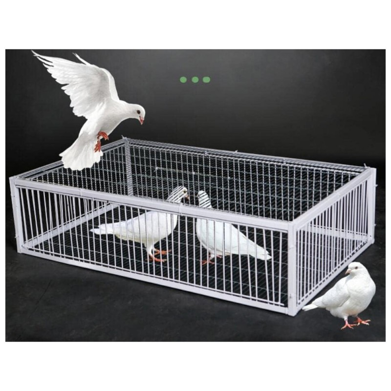 LM-17 100 X 60 X 26CM قفص مصيدة حمام 2باب