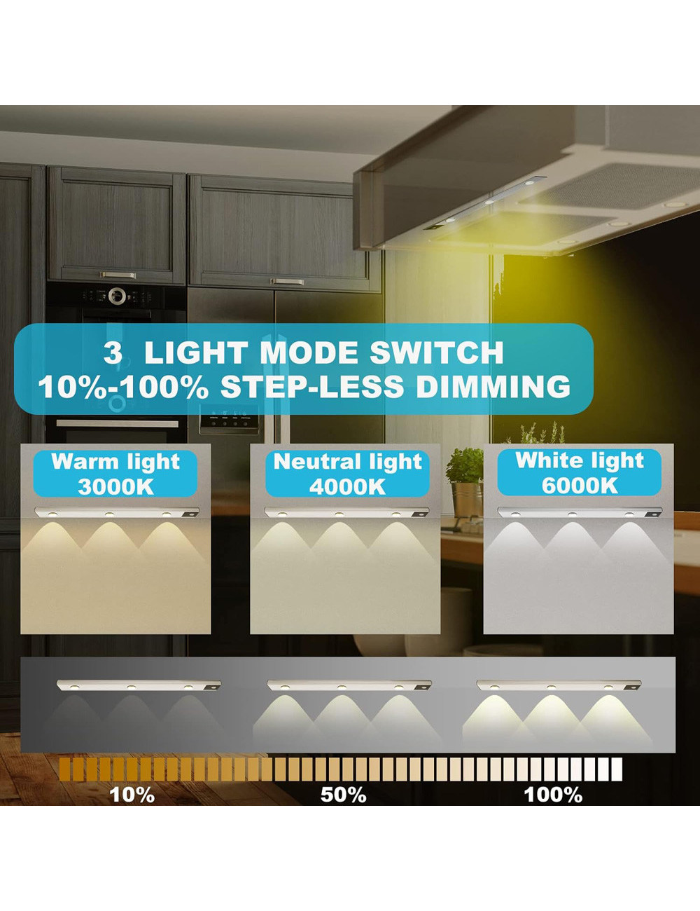 LM-24 LED INDUCTION LIGHT 3W 1100MAH 100CM