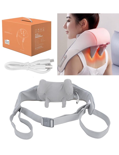 FZ-666 MASSAGER