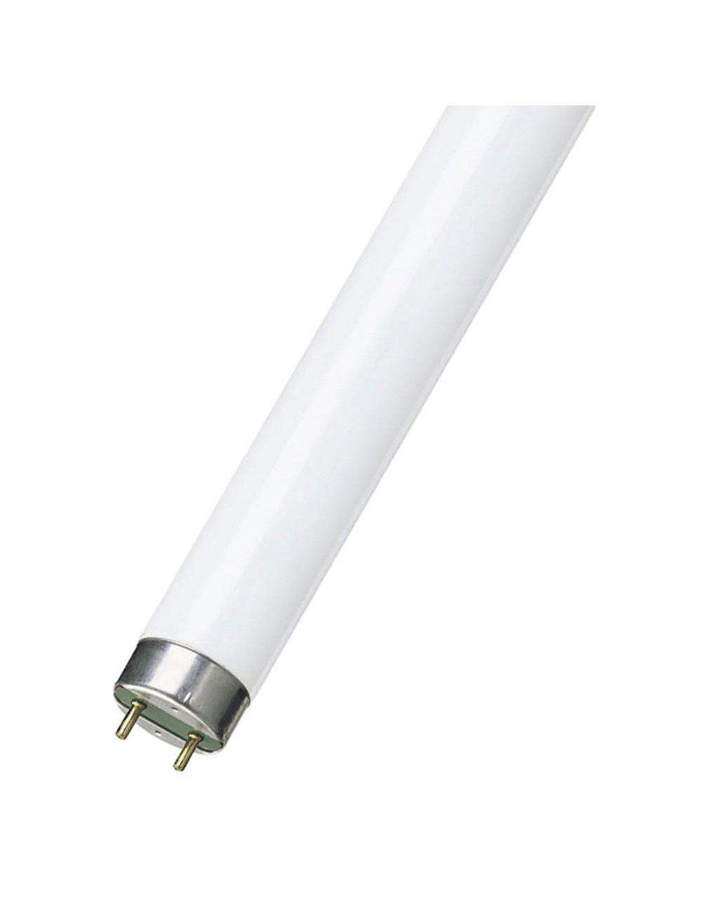 FLUORESCENT BULB COLOURED 2 FT