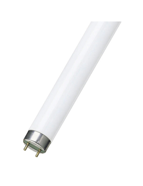 FLUORESCENT BULB COLOURED 2 FT