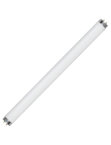 لمبة نيون ملون 2 قدم CHN