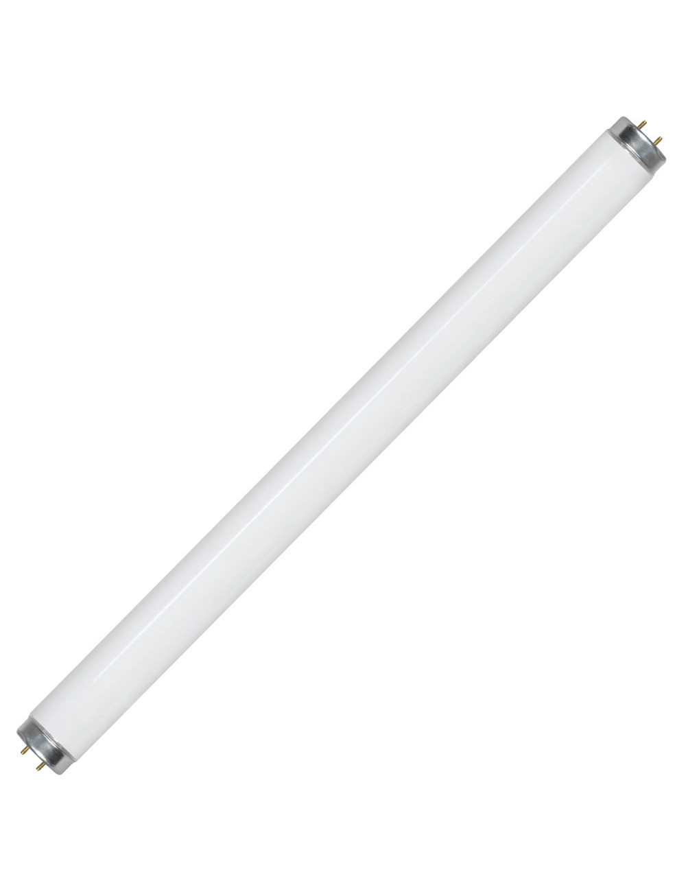 FLUORESCENT BULB COLOURED 2 FT