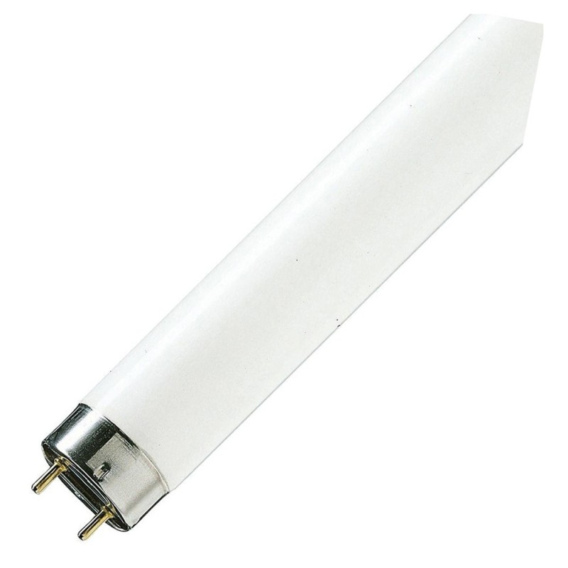 FLUORESCENT BULB COLOURED 4 FT