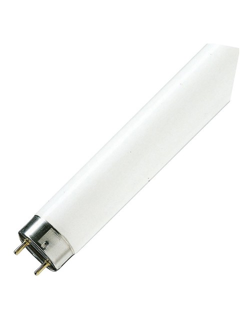 FLUORESCENT BULB COLOURED 4 FT
