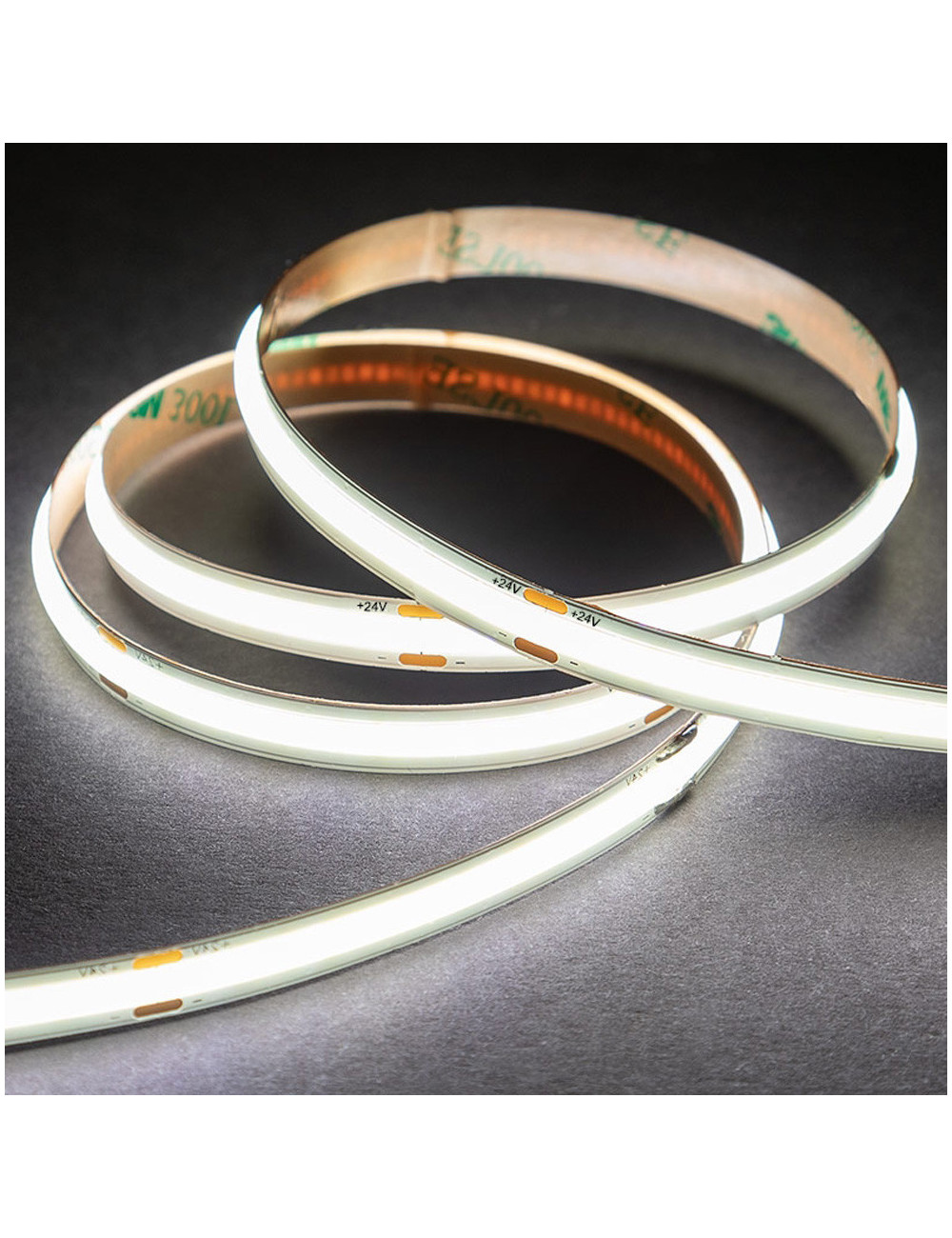 COB STRIP LIGHT 10MTR 24V DC WARM WHITE