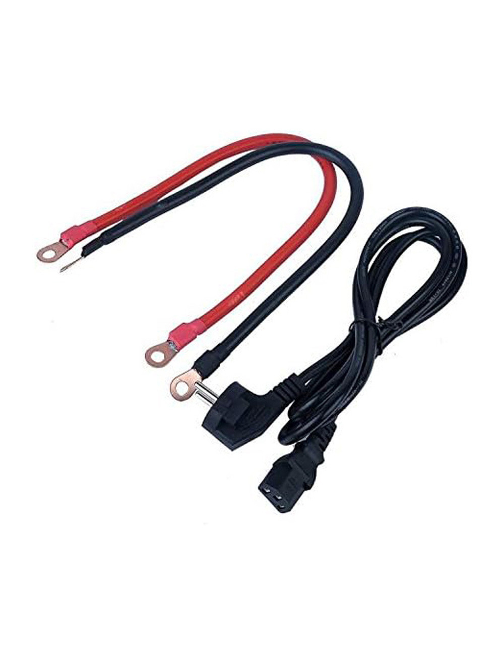 INVERTER 1000 W