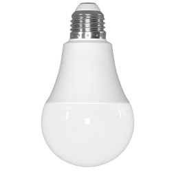 A-60 LED BULB 12-3000K