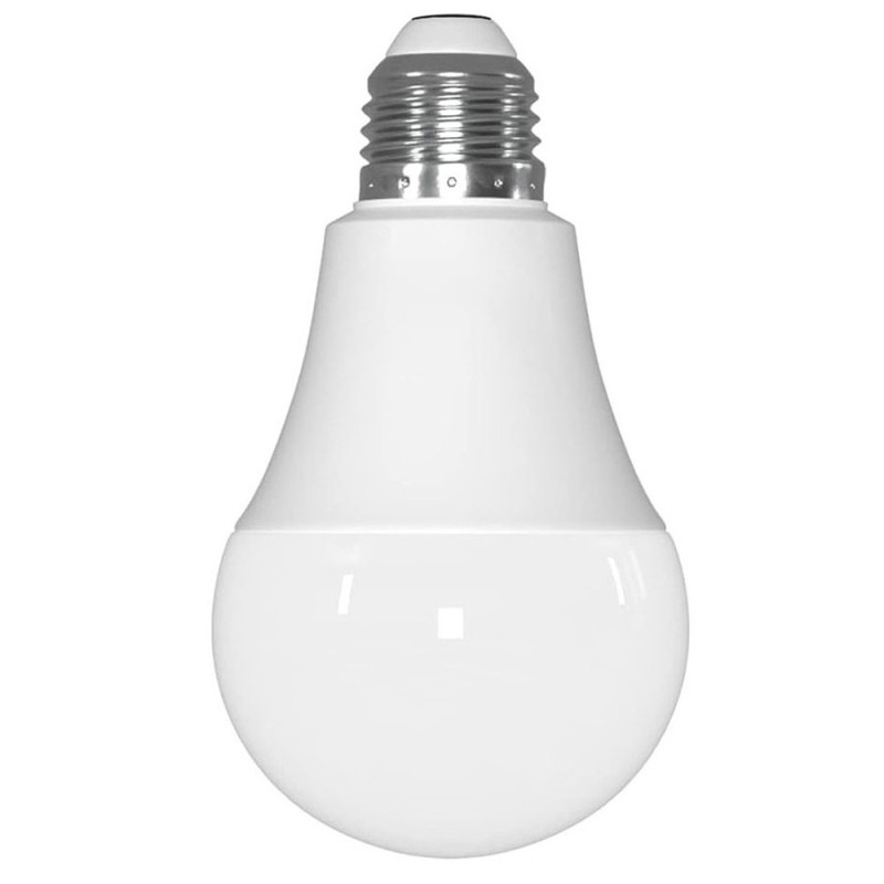A-60 LED BULB 12-3000K