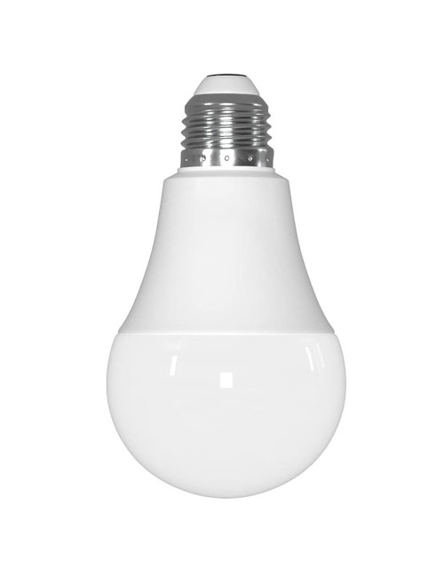 A-60 LED BULB 12-3000K
