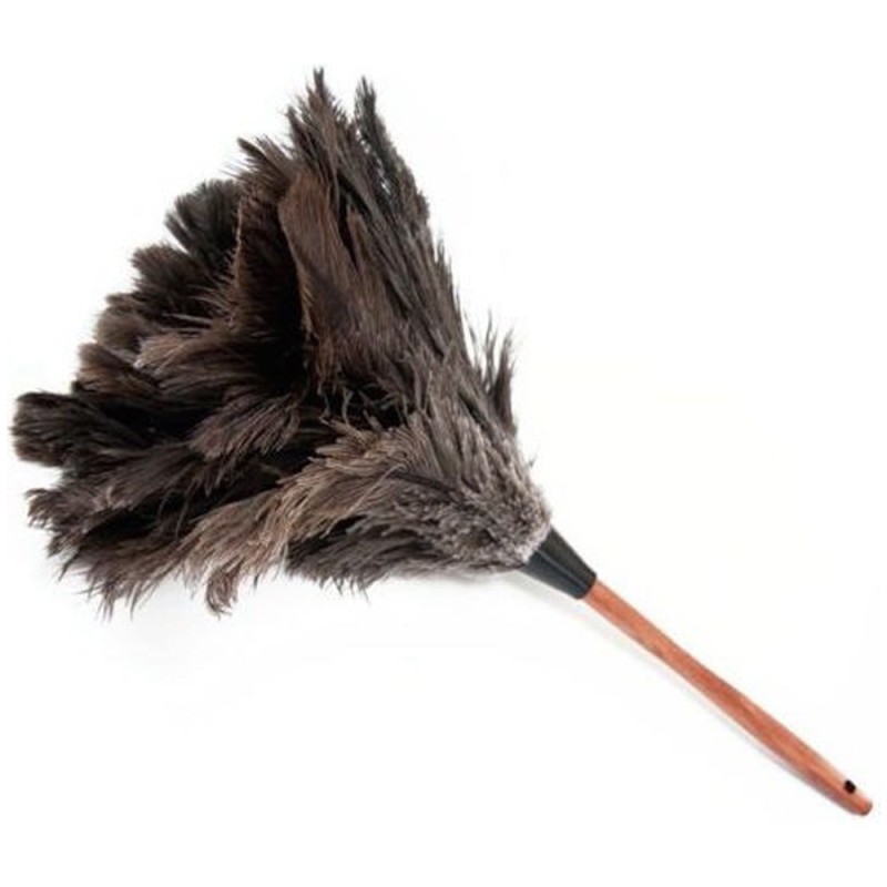 FEATHER DUSTER