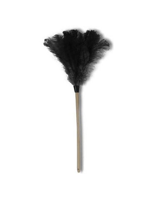 FEATHER DUSTER