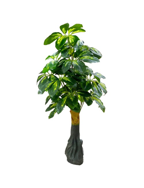 شجر زينة