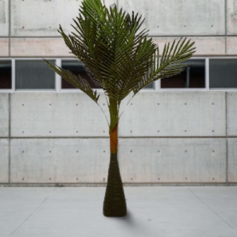 DECORATIVE PLANT