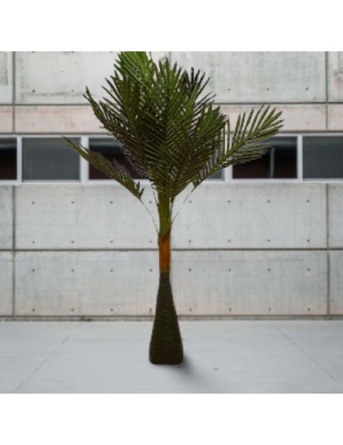 DECORATIVE PLANT