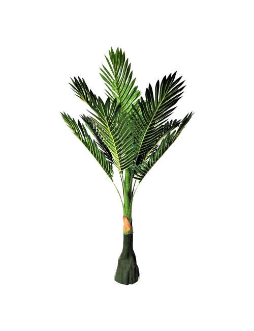 DECORATIVE PLANT