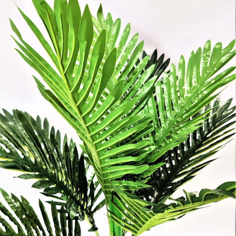 DECORATIVE PLANT