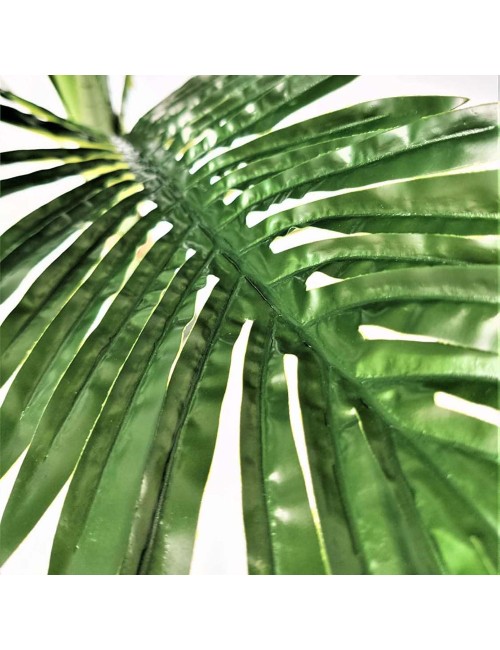 DECORATIVE PLANT