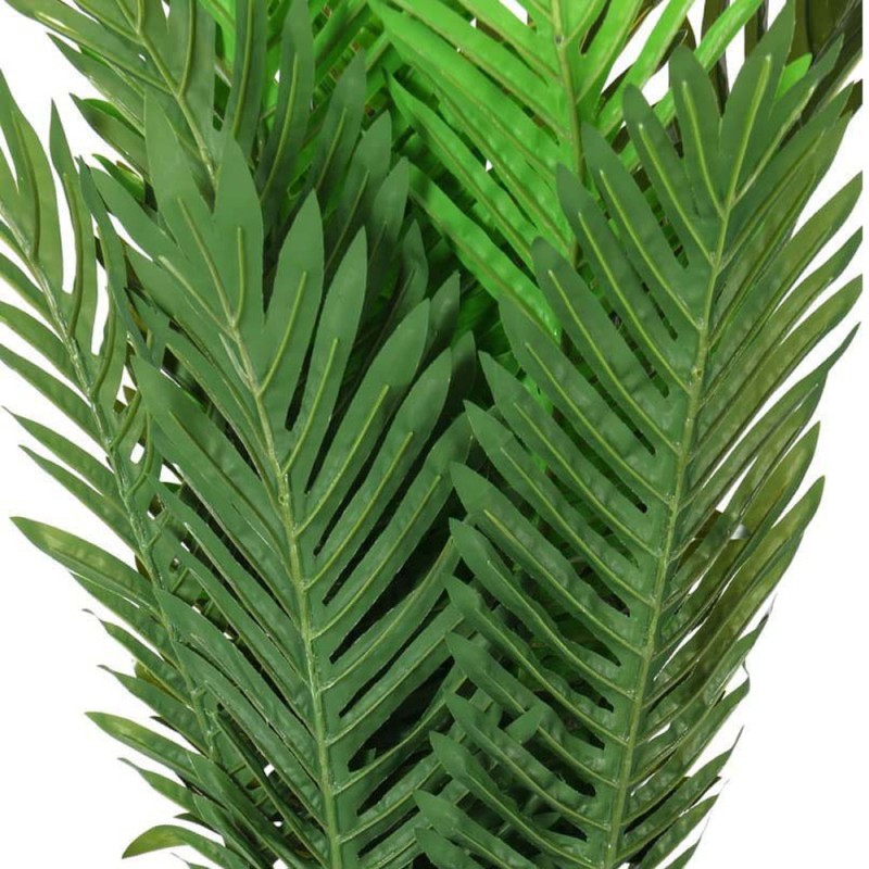 DECORATIVE PLANT
