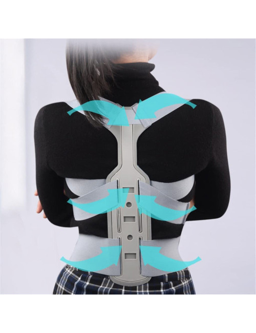 AB5020 حزام شد الظهر