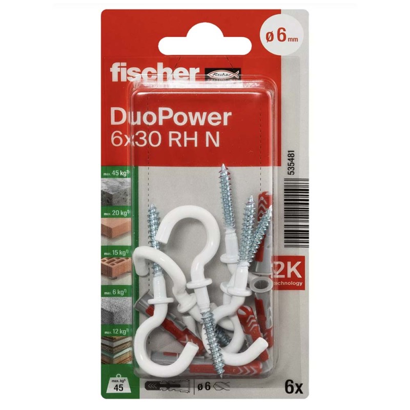 فيشر ديوباور مع برغي نصف دائري 6x30 RH N K NV 6x(535481)