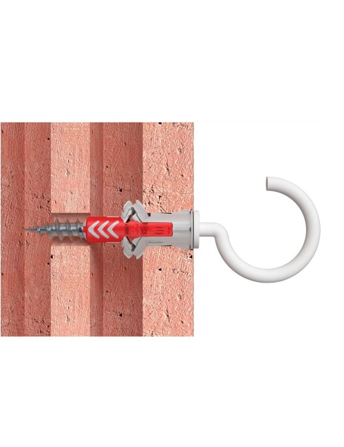 فيشر ديوباور مع برغي نصف دائري 10x50 RH G N KNV 2x(535484)