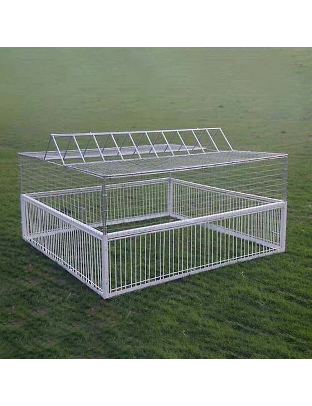 CM-080 PIGEON TRAP CAGE 4 DOORS 100 X 100 X 50CM