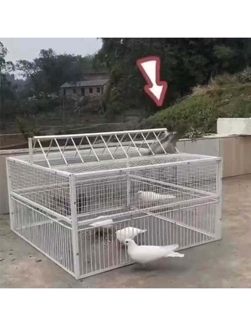 CM-080 PIGEON TRAP CAGE 4 DOORS 100 X 100 X 50CM