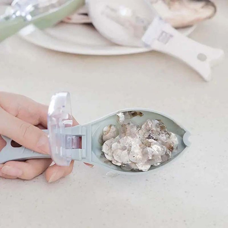 FISH SCRAPER MANUAL