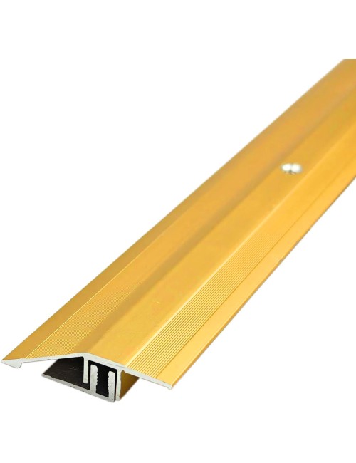 01-BJ-420A FLOOR TRIM GOLDEN