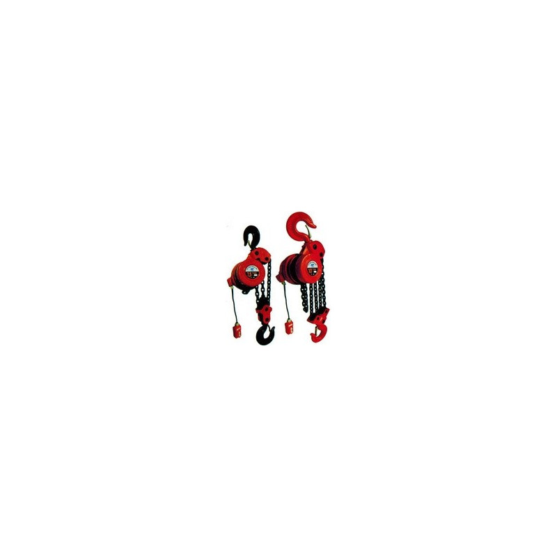 ونش كهرباء هوست CHN - DHS 3 TON x 12 MTR
