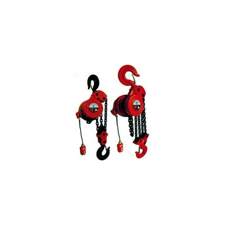 ونش كهرباء هوست CHN - DHS 3 TON x 12 MTR