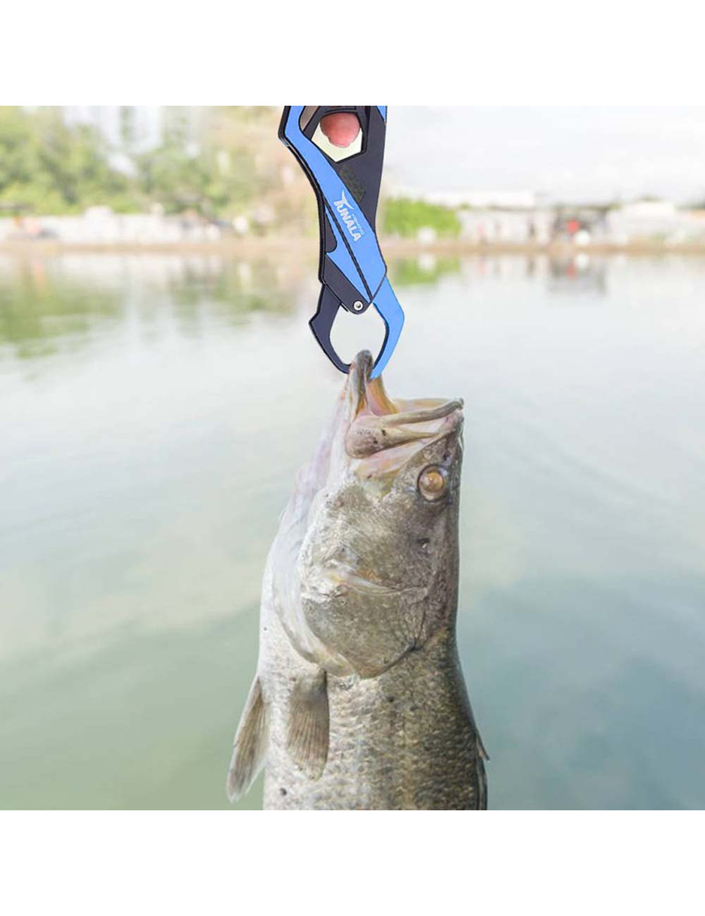 BL-060 ALUMINIUM FISHING LIP GRIP 29.5CM