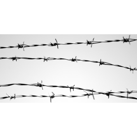 Barbed Wire 12G x 12G x ''4'' x 100 MTR x 15 KGS - H.D - CHN