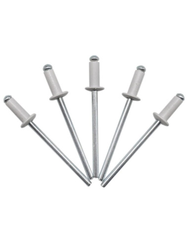 برشام المونيوم ابيض 3.2 × 10.2 بحريني