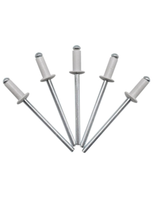 برشام المونيوم ابيض 3.2 × 10.2 بحريني