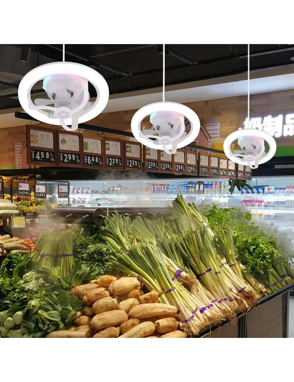 CM-073 MULTI-FUNCTION FAN LIGHT