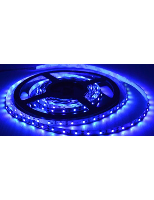 SMD Top Led Strip Light Blue Color 5 MTR - CHN