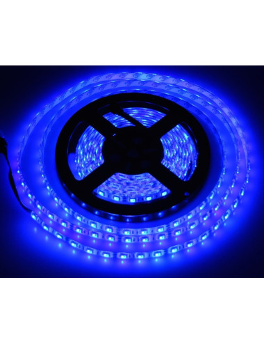 SMD Top Led Strip Light Blue Color 5 MTR - CHN