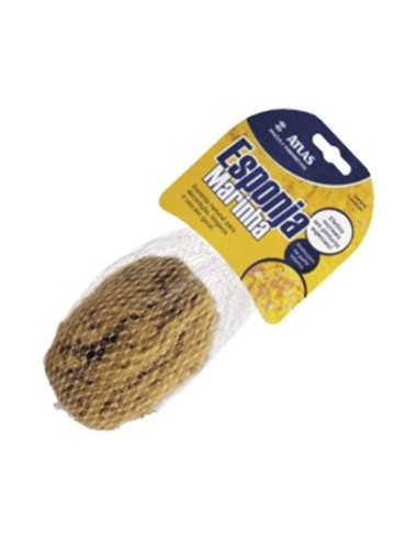 ATLAS 8010 DECORATIVE PAINT SPONGE SMALL